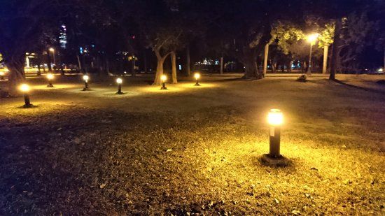 航海王看太多！夜闖高雄中央公園　屁孩划船發誓：會活著回來
