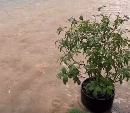 影/大雨10分鐘！台中沙鹿北勢東路淪「滑水道」　商家自嘲：划船、泛舟玩法多