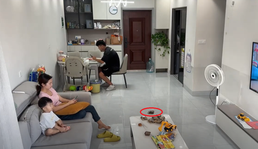 影/過程全都錄！月餅擺桌上突「呼叫器式炸開」爆巨響…孩子當場嚇哭