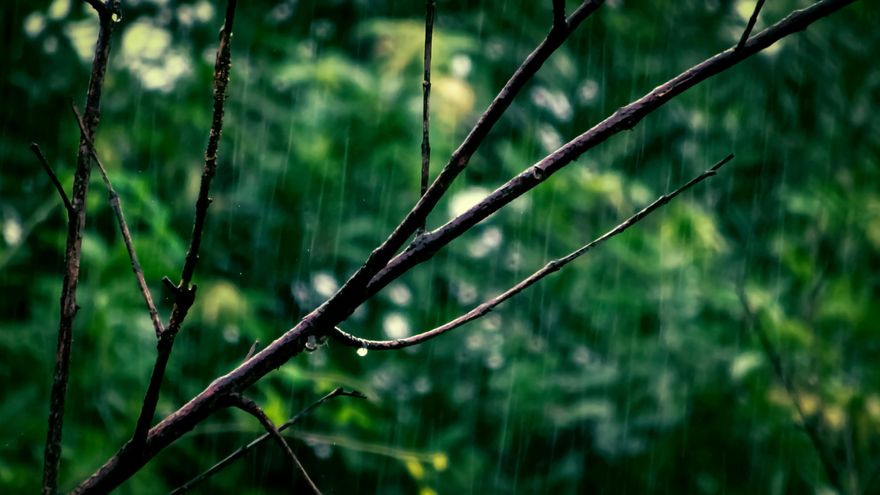 快訊/假日泡湯了！大雷雨炸10縣市　北市士林國家警報狂響