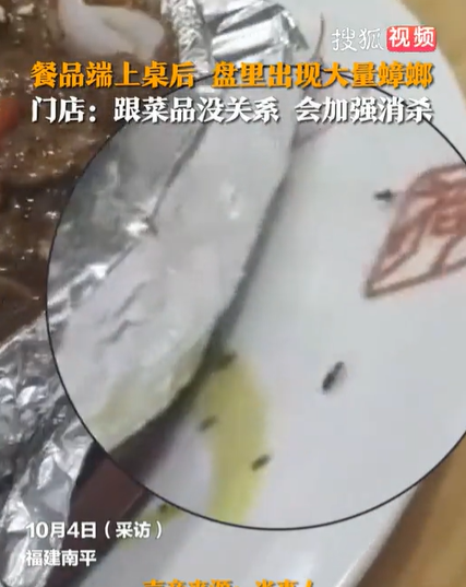 影/嚇到沒食慾！鐵板牛肉端上桌「20隻小強」竄出　陸店家辯：絕對沒問題