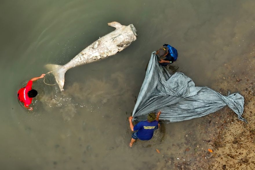影/太殘忍！普吉島驚現無頭「美人魚」浮屍　疑因牙齒可「避邪」遭斬首