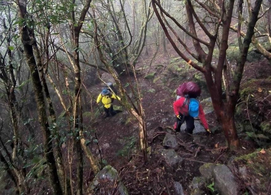 女山友獲救稱「沒丟包」！登山專家：隊友仍有錯才釀山難