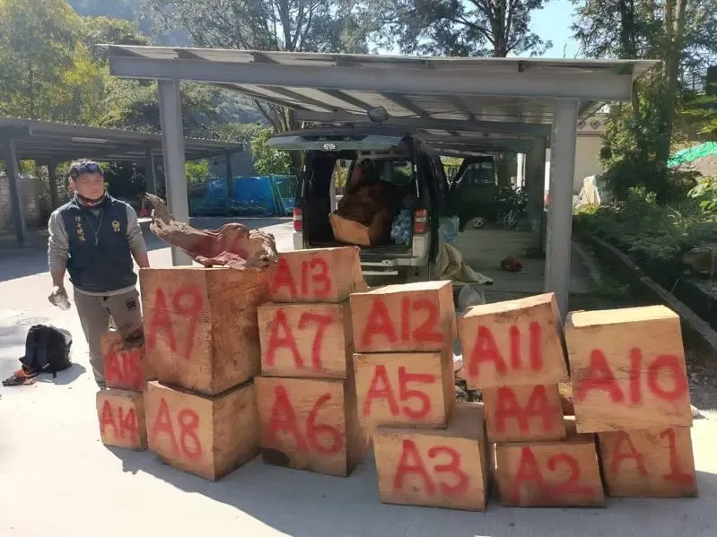 冷氣團裡抓到你！台中保七警忍低溫　林地活逮3隻山老鼠