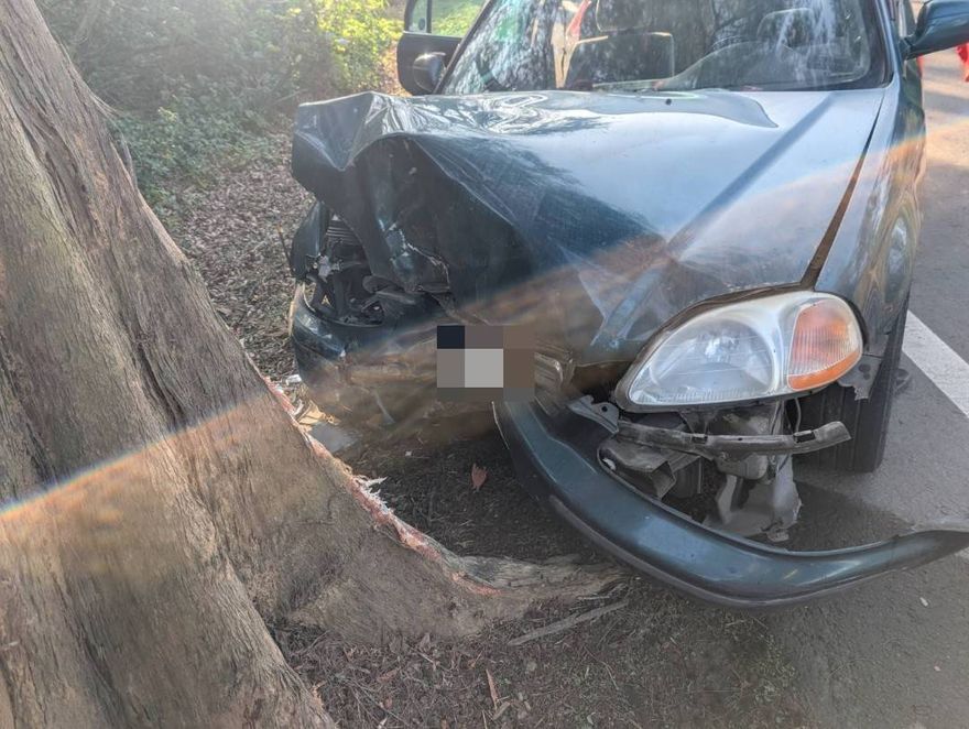 恐怖自撞路樹亡！轎車車頭「炸開全毀」　年節斷魂苗128線