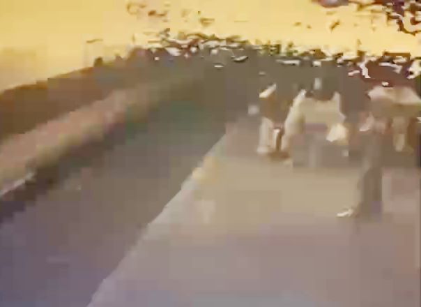 影/太魯閣號開進樹林站「車頂爆煙花」因電力接觸線不平整