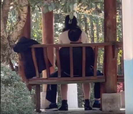 影/天熱公園消火！光天化日驚見「女上男下」涼亭激戰