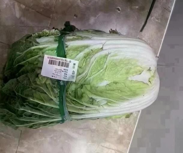 大陸西寧疫情封控傳一顆白菜要價200元？西寧市：只是標錯價