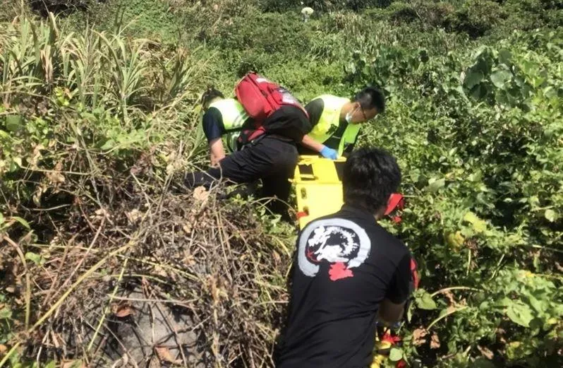 活活被熱死！2男富基漁港採草藥　他「途中消失」竟倒草叢中暑身亡