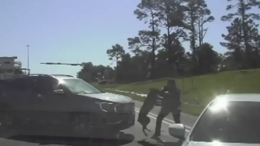 影/史上最混亂公路警匪追逐！警犬扯後腿大咬警員　歹徒趁機竄逃險遭卡車輾