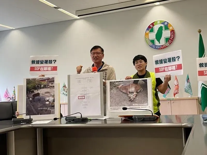 梅花鹿闖民宅「直接殺死鋸鹿角」竟扯復活　台中府：廠商已解約