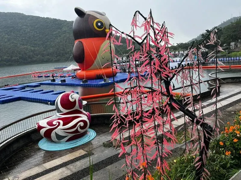 「花蓮FUN暑假」紅面鴨換成貓頭鷹　網友：好醜！