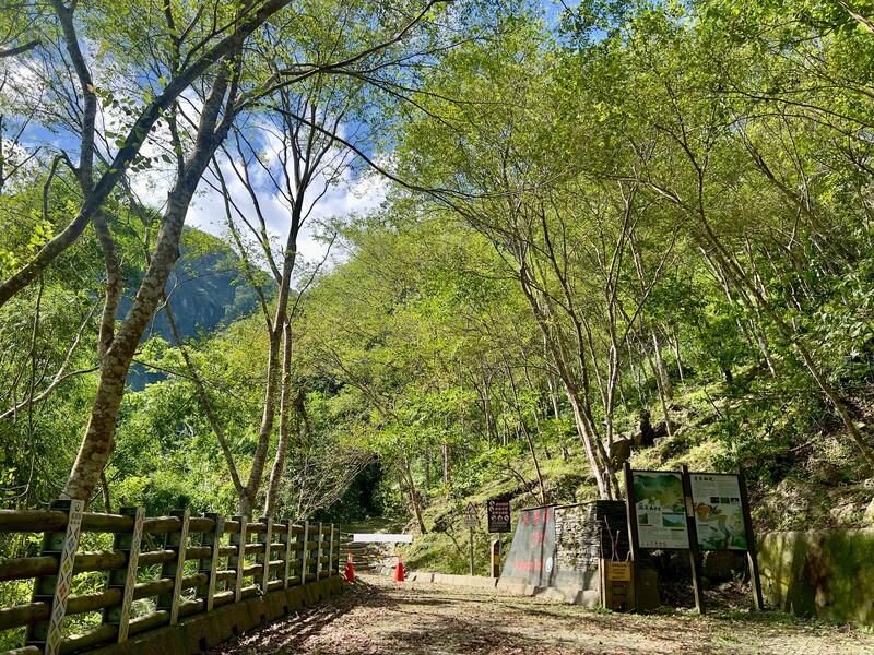 楊柳風災重創林保署加快搶修　台東麻荖漏步道開放了