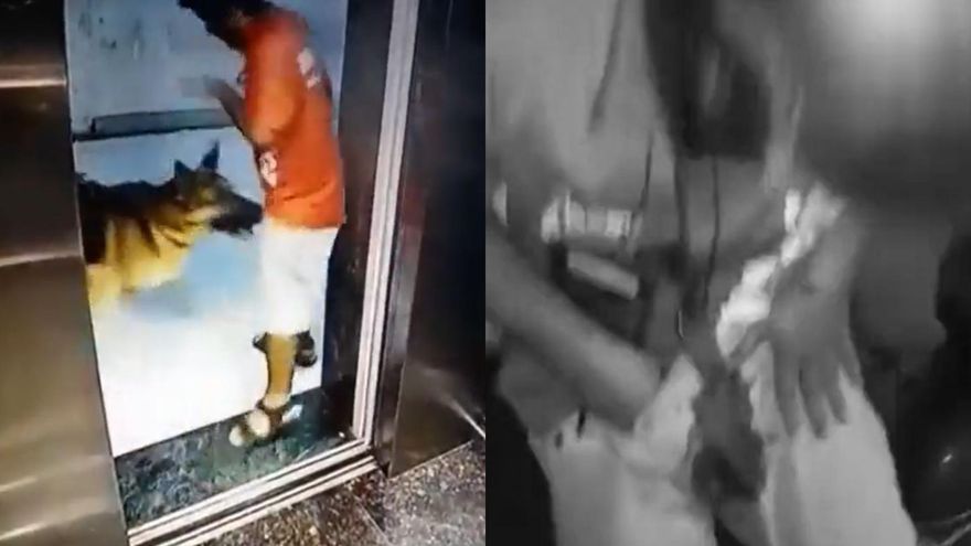 下樓遭狼犬「突襲弟弟」！外送員龍柱見血「慘成番茄炒蛋」　手抓褲檔痛到凍未條