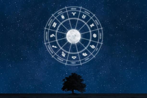 金牛、牡羊財運旺！「3星座」從不缺錢　TOP1投資有望穩賺…發財撇步曝光