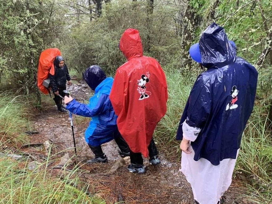 起訴鄭捷求處死刑！法官陳伯均驚傳登山失聯　僅找到2支登山杖