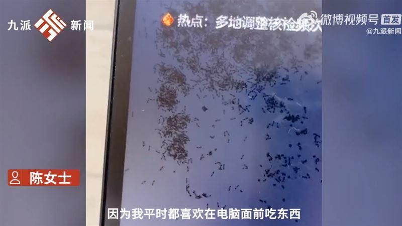 喝奶茶灑進螢幕裡！粗心妹開電腦驚見「螞蟻築巢」　超濃密黑點亂舞…網全看傻