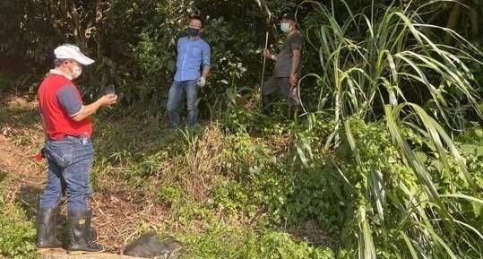 沒回弟弟訊息！桃園六旬婦登山失聯　跌傷昏迷2日奇蹟獲救