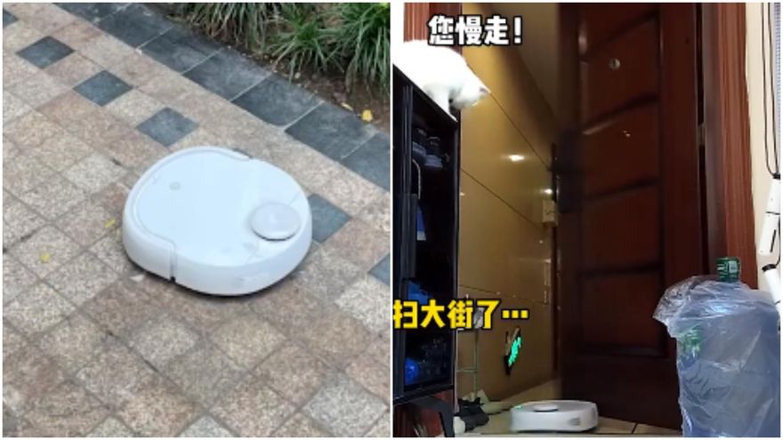 白貓發狠「驅趕機器人掃大街」鏟屎官下班看到偷笑→回家傻眼：小丑竟是我自己