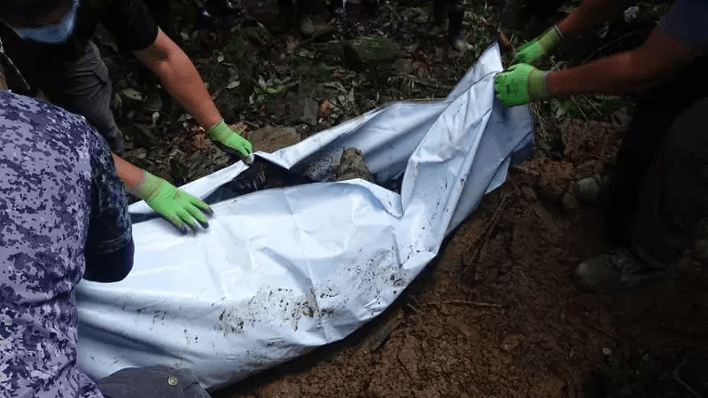 東卯山台灣黑熊誤入陷阱…慘遭殺害掩埋　凶嫌冷血對話曝光