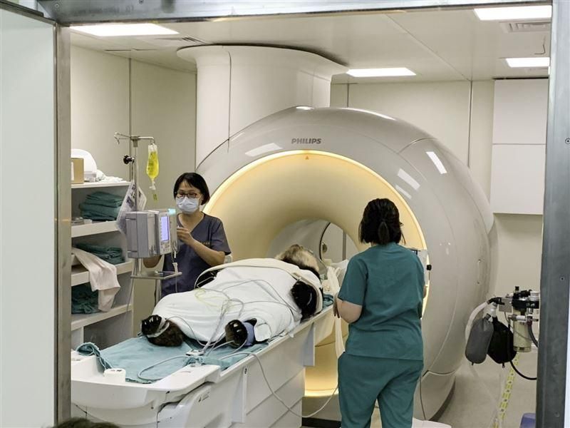 大貓熊「團團」健康亮燈！嘴吐泡沫「腦部液化壞死」　3mins異常畫面…園方急扣獸醫