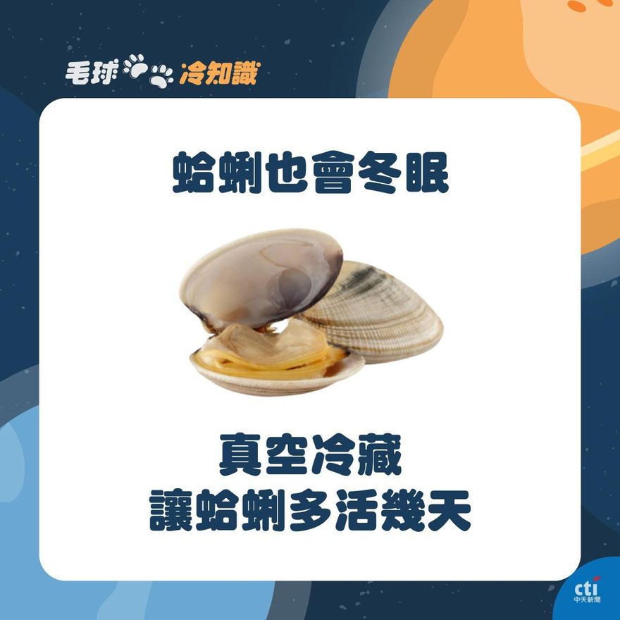 【毛球冷知識】倫家還活著啦！真空狀態下還是很鮮的