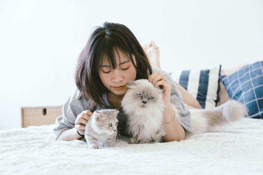 愛了就愛了！這「4生肖女」談感情秒變零智商戀愛腦　感情變成生活中的唯一