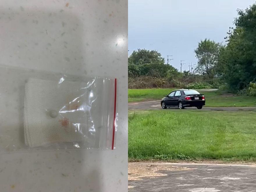 高雄男「持BB槍射狗」還飆車撞人！原因竟是模型被咬　網氣炸：不會射自己嗎
