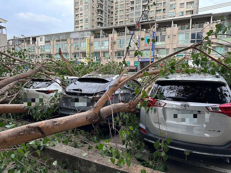 無風無雨　高雄楠梓路樹無預警斷裂…路邊5車遭擊中