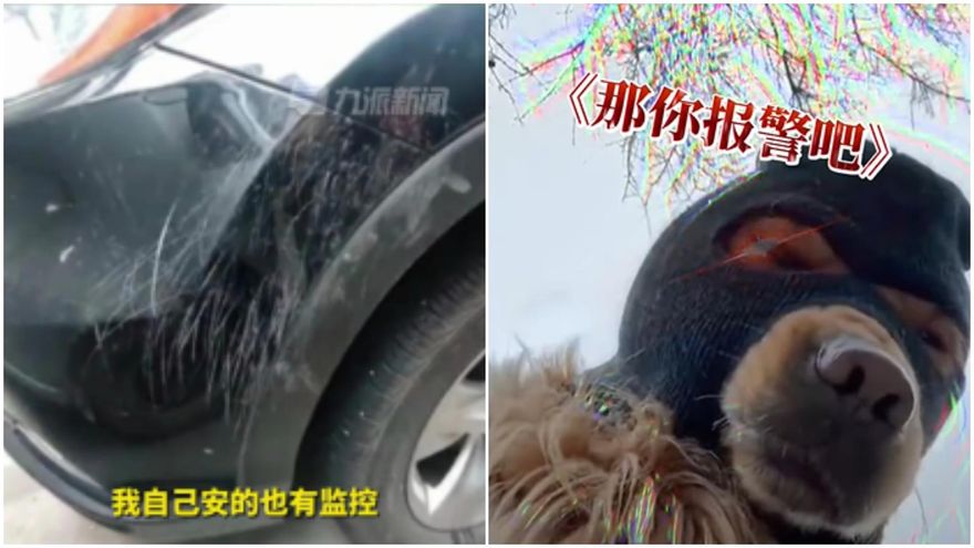 影/愛車被刮！車主爆氣抓兇手「自信逮人」宣告：他逃不掉～見兇手秒臉綠
