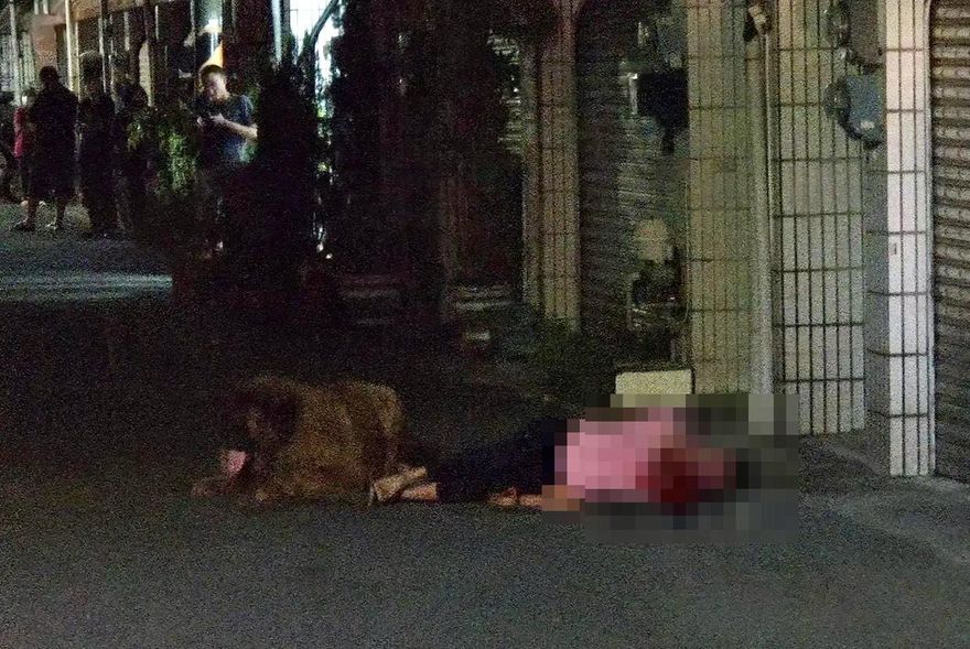 快訊/台南老婦遭2藏獒圍攻狂咬　頭、手受傷倒臥血泊