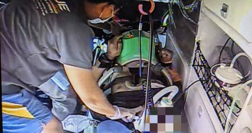遭蜜蜂叮咬休克！除草工嚴重過敏送醫不治　消防局：「注意2點」避螫咬