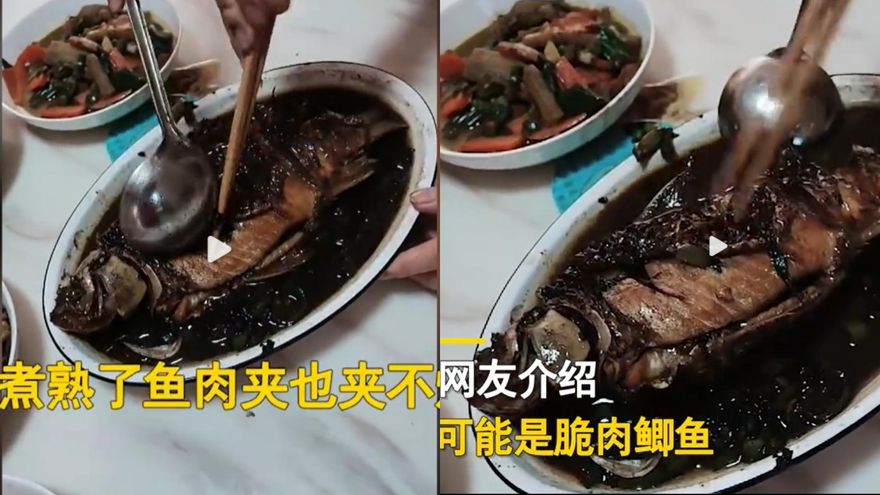 陸女買到「戳不爛輪胎皮」怪魚　網友親揭：老饕最愛！