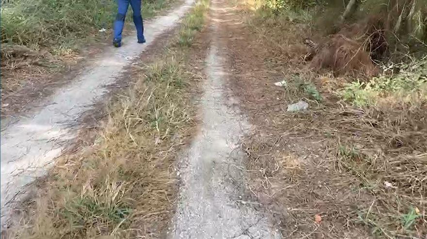 右胸穿刺傷「手腳前端剩白骨」！台南防風林狗啃屍案　開槍惡嫌自首遭聲押