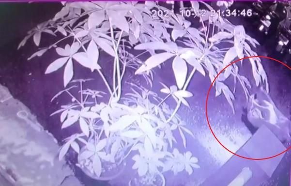 影/看一眼就出事！莽男怒譙5字經爆推女子倒地…下場慘了