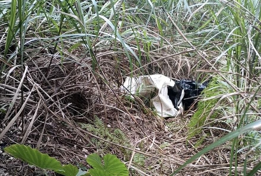 台版柬埔寨疑虐殺/3人斷魂?…2冰屍丟桃園山區！58人奔中壢求職陷煉獄　警破門逮16嫌