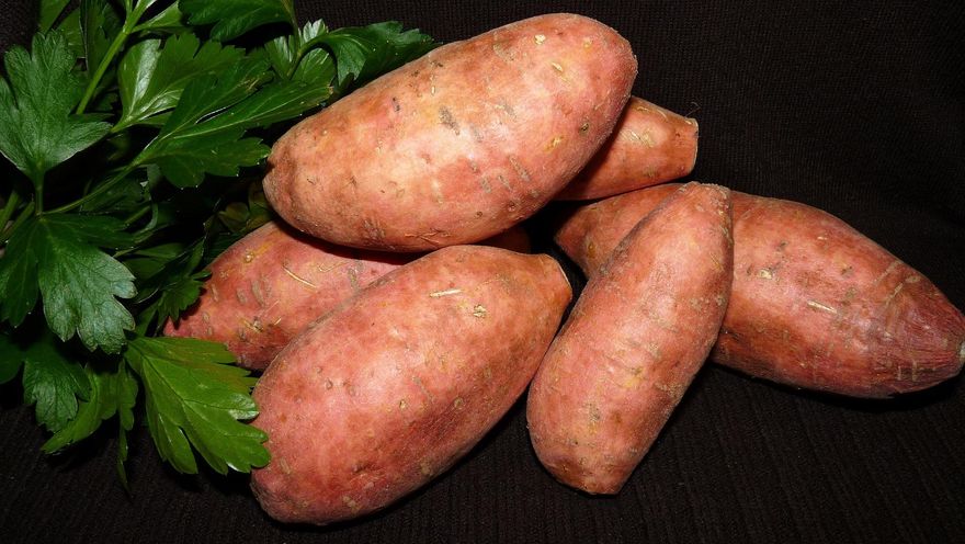 地瓜煮蒸烤都美味！農糧署教3步驟做「甘藷醬」營養滿點又防癌！