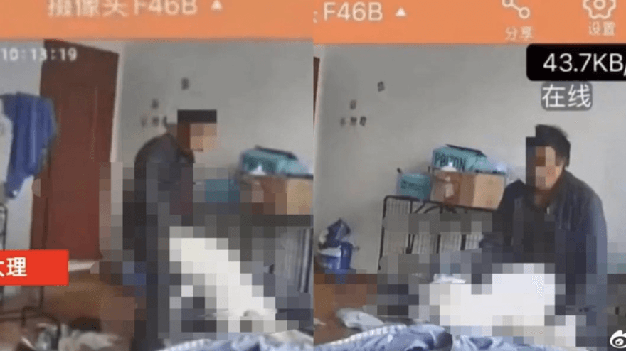 拳頭都硬了！變態房東闖女租客家性侵寵物狗　網怒批：還是人嗎？