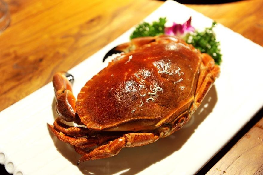 螃蟹季來了！尿酸高、痛風、心血管疾病患謹慎攝取　中醫師授吃蟹4秘訣
