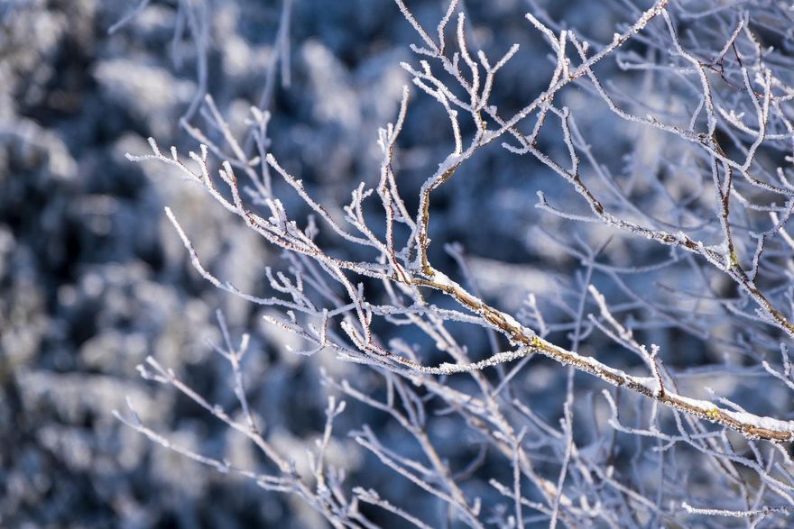 冬天來了！陸氣象局發佈今年首次「暴雪藍色預警」　內蒙古、吉林等地恐積雪