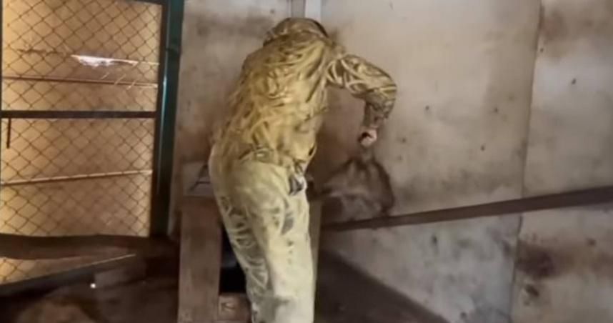 【影】俄士兵撤軍前於赫爾松行竊　連動物園動物也綁走稱「人道救援」
