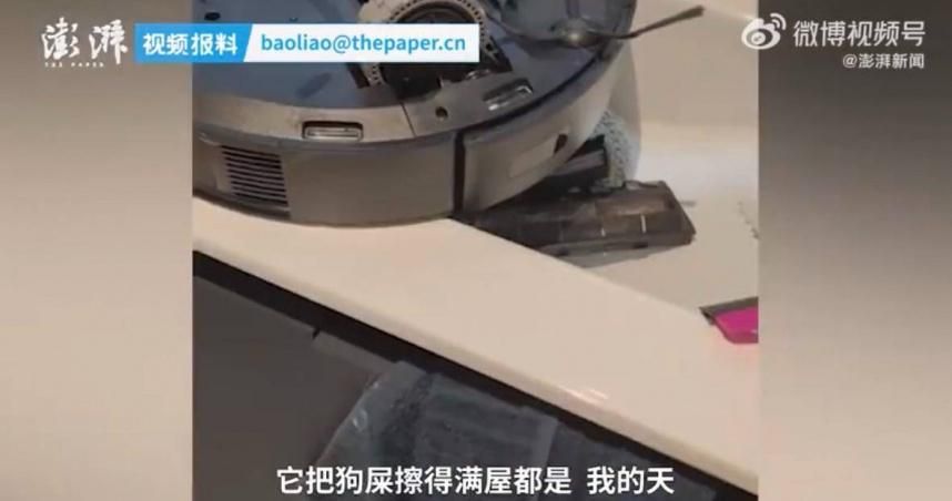砸2萬買掃地機器人！開這功能「整屋都狗大便」6hrs才清好　網罵翻：怪誰？