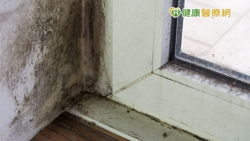 「家裡發霉」竟致命！英國2歲男童罹患「呼吸道疾病」死亡