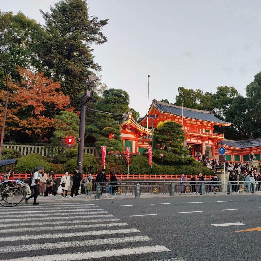 防疫政策鬆綁！陸客訪日將開啟「爆買模式」　日媒：買房子都有可能