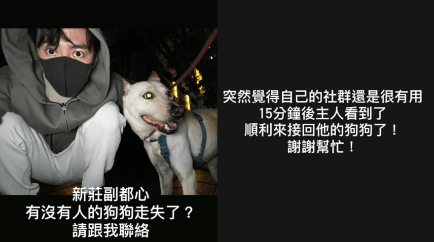 36歲男星同框「走失狗狗」！緊急發文「15mins找回主人」　暖舉曝光50萬粉絲讚爆