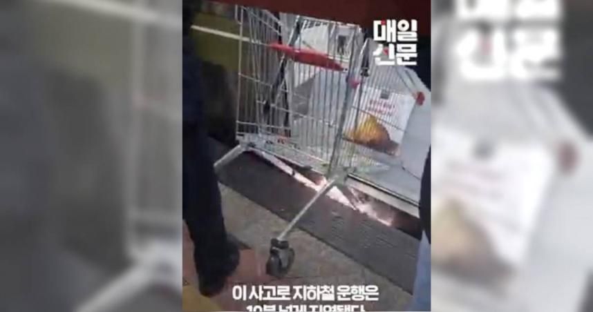 【影】南韓老婦手推車卡地鐵縫隙冒火花　眾人幫解圍她只顧撿菜