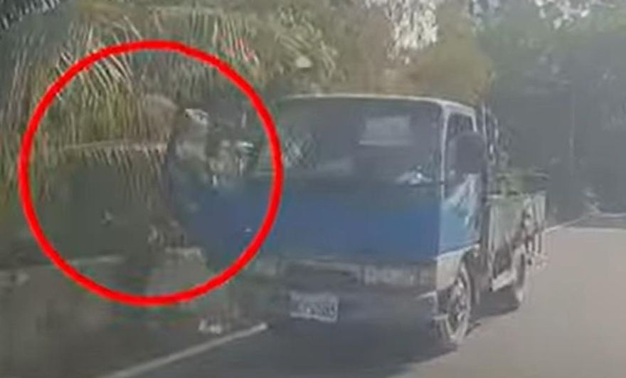 【影】開車不關門！高雄貨車「側路大開」晃呀晃衝整條路　民眾傻眼：「比較涼？」