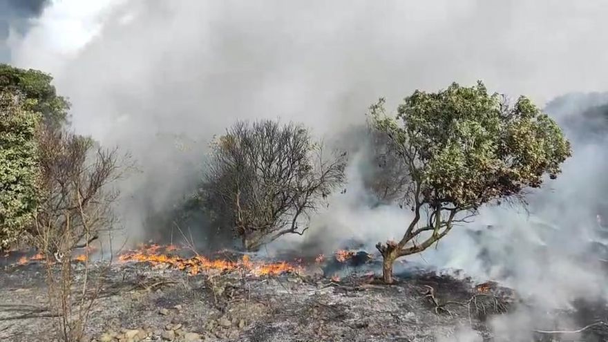 【影】搶救影像曝光！南投八卦山荔枝園大火　水源不足搶救陷苦戰