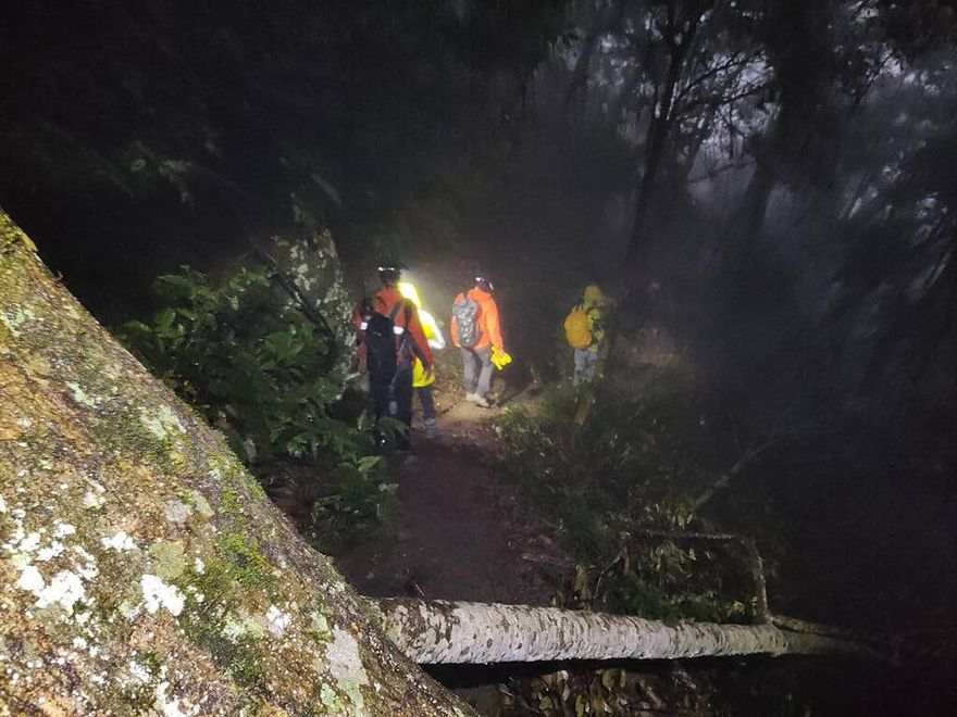 26人登山團攀八仙山步道出意外！1骨折1頭疼送醫