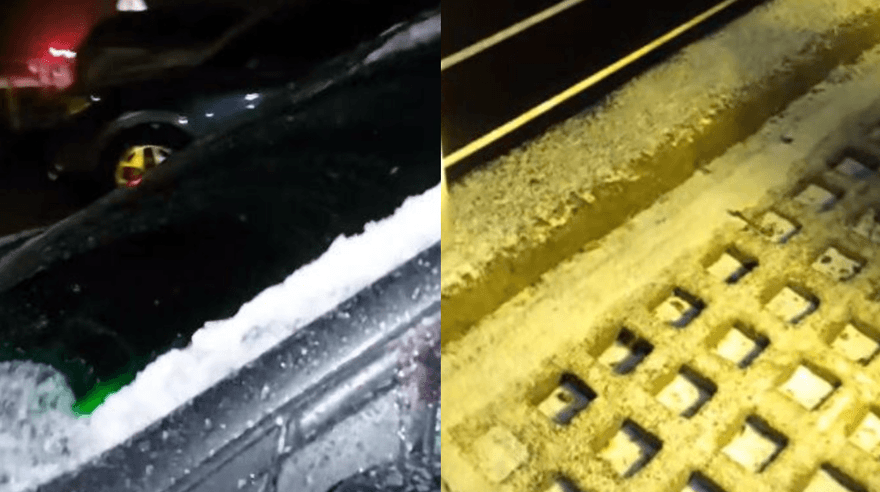 合歡山下雪了！武嶺一夜「銀白」　追雪族嗨翻了